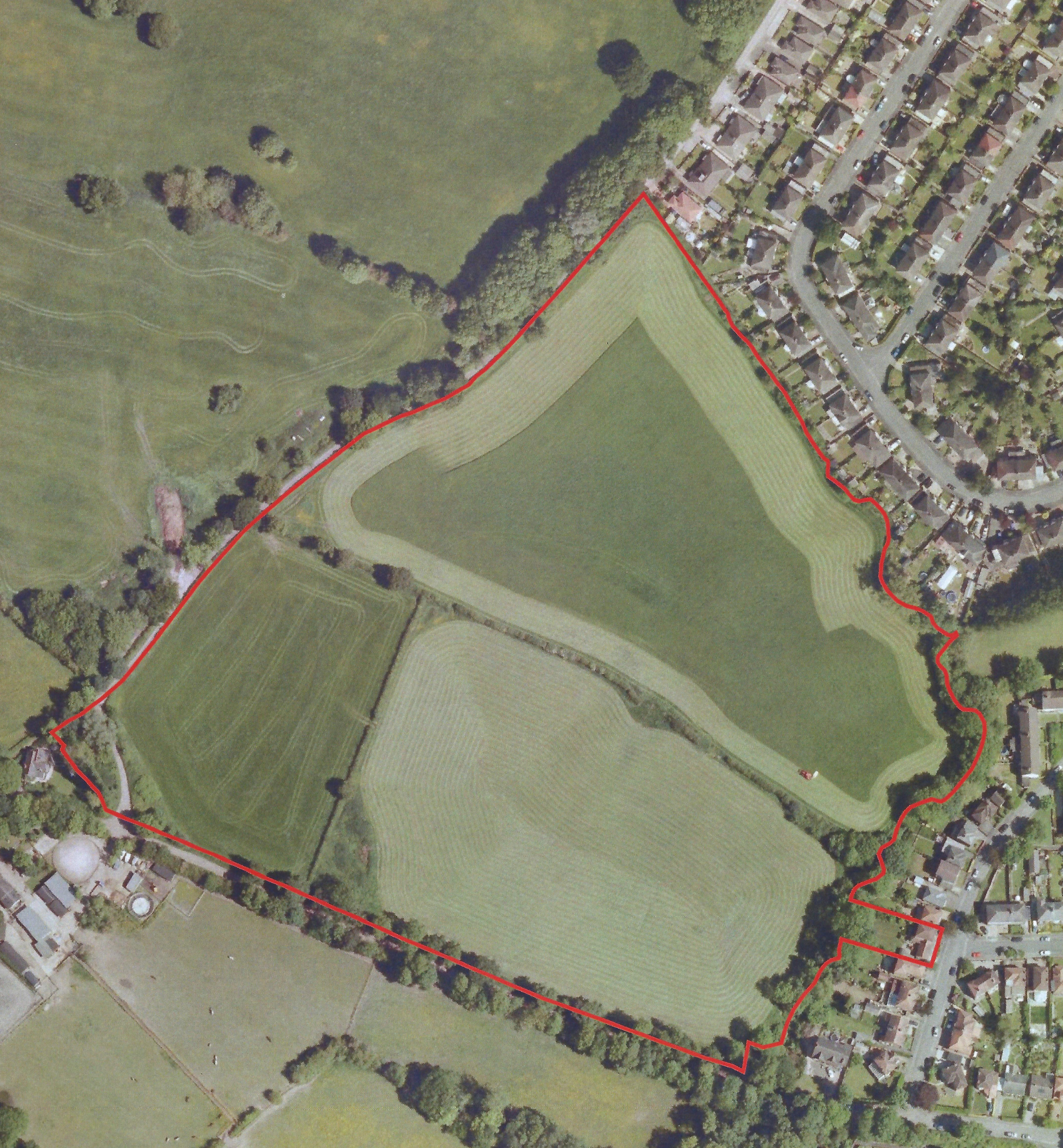 What We Offer Buyers